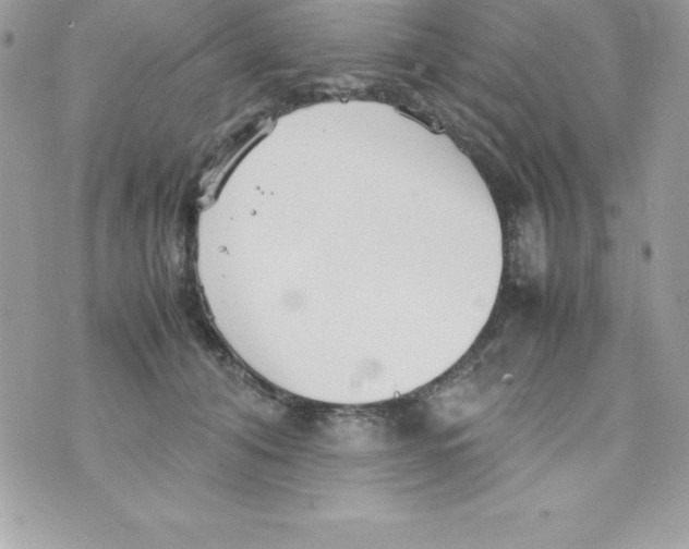 X0000070830608200607142342