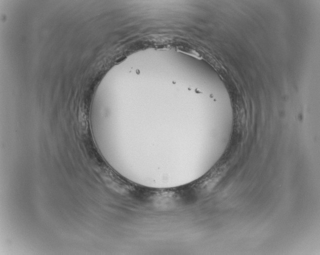 X0000070830609200607142342