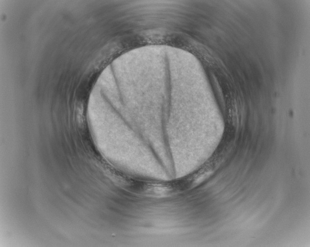 X0000070830610200607142342