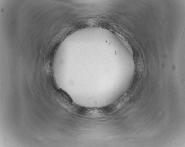 X0000070830611200607142342