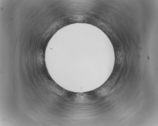 X0000070830612200607142342