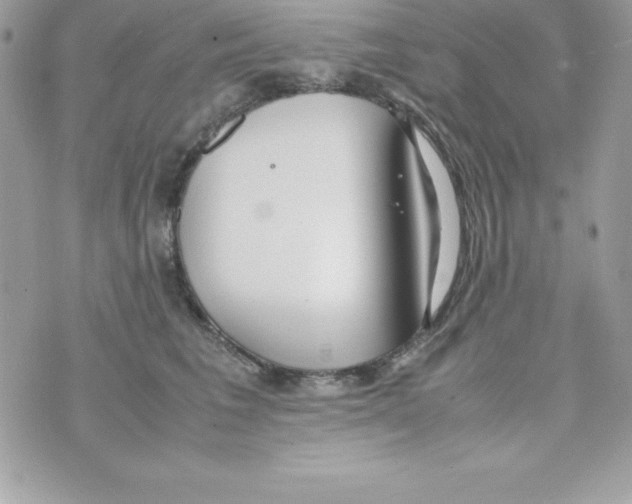 X0000070830613200607142342