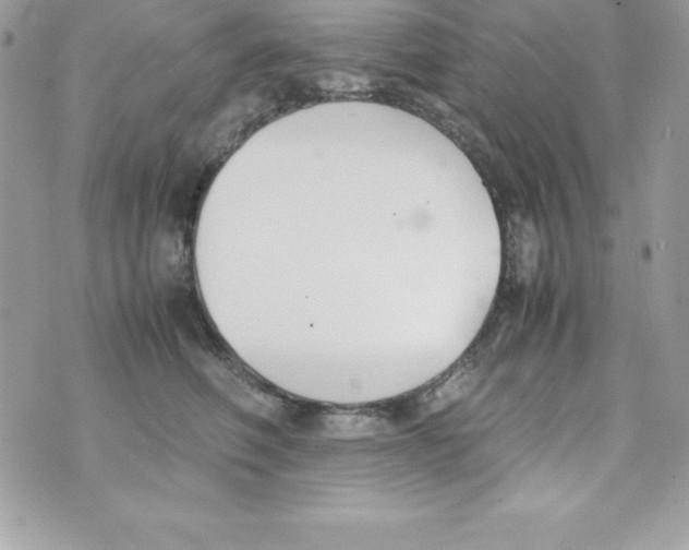 X0000070830614200607142342