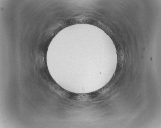 X0000070830615200607142342