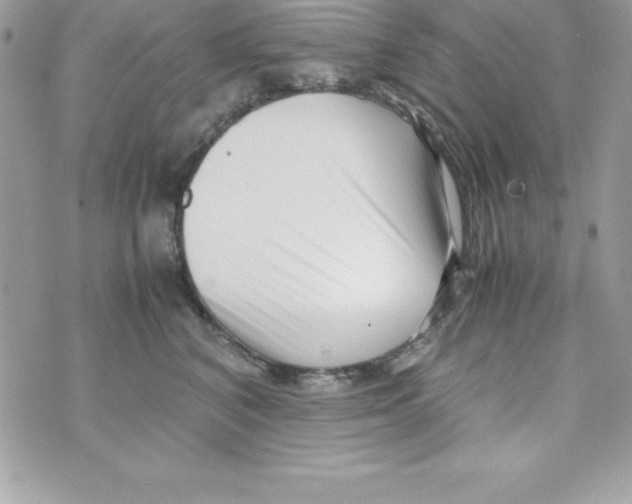 X0000070830616200607142342