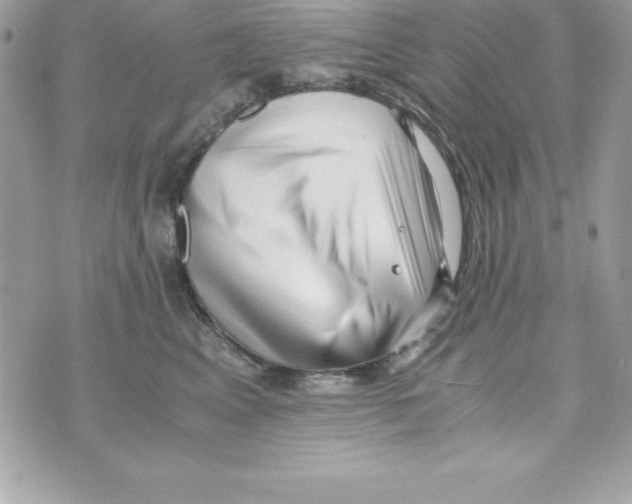 X0000070830617200607142342