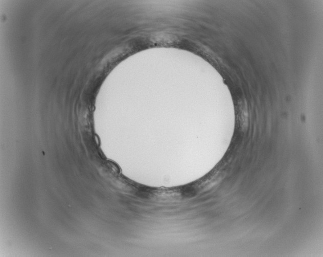 X0000070830619200607142342