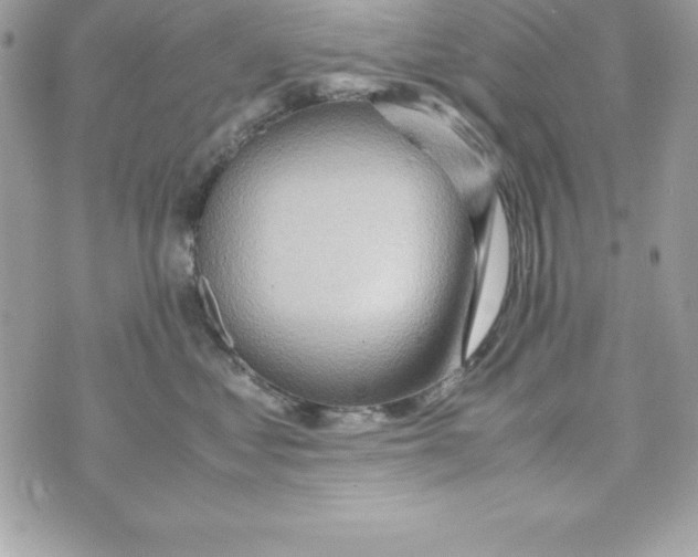 X0000070830621200607142342