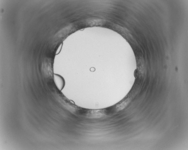 X0000070830622200607142342