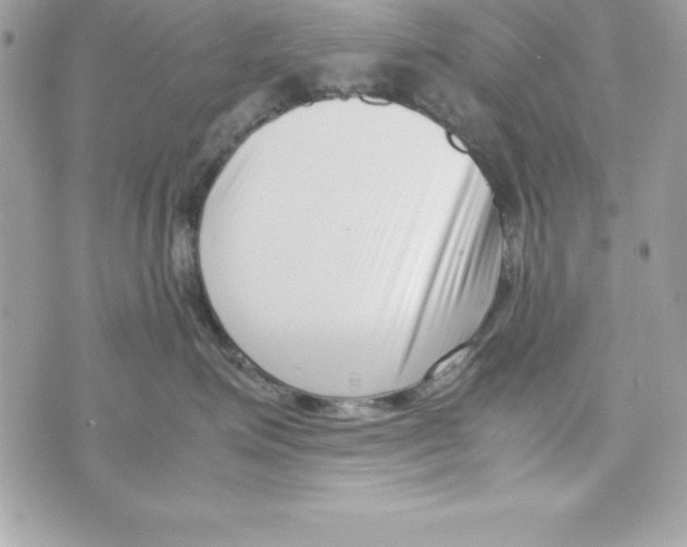 X0000070830623200607142342