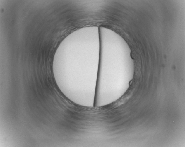 X0000070830624200607142342