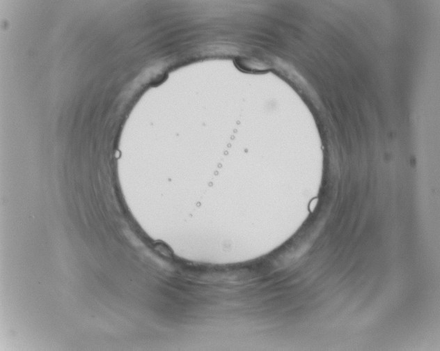 X0000070830625200607142341