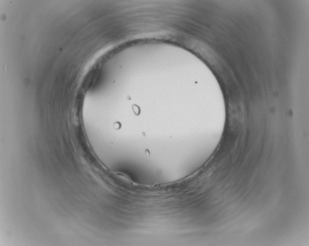 X0000070830628200607142342