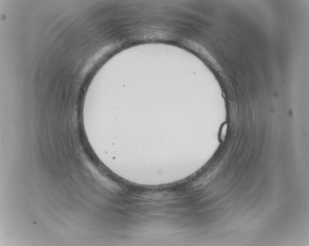 X0000070830629200607142342