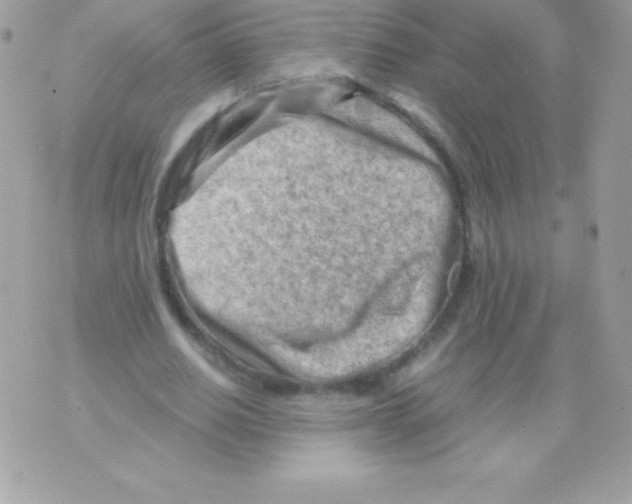 X0000070830630200607142342