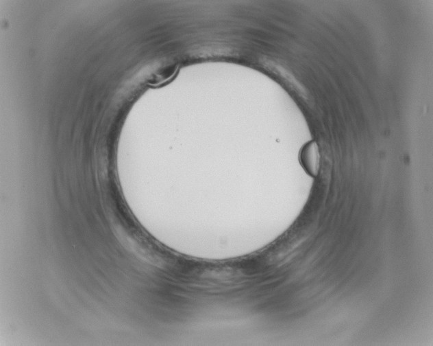 X0000070830631200607142342