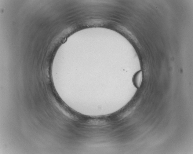 X0000070830633200607142342