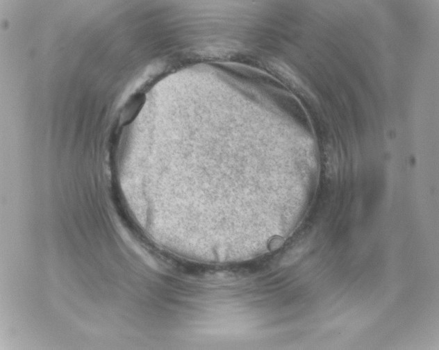 X0000070830634200607142342