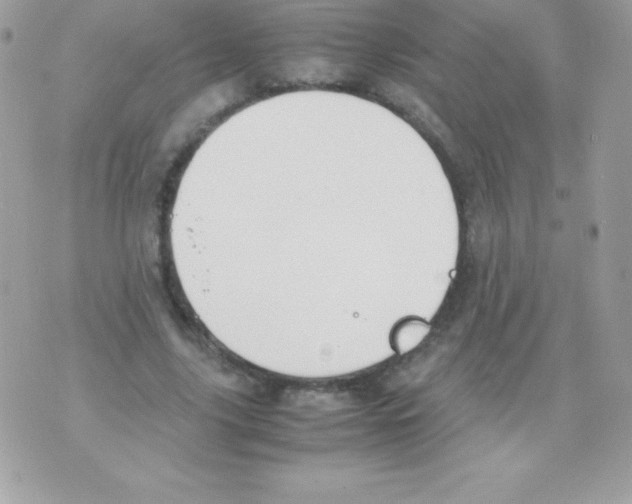 X0000070830635200607142342