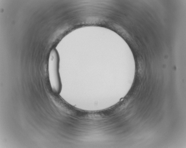 X0000070830636200607142342