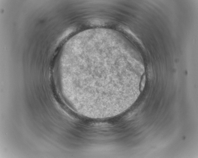 X0000070830637200607142342