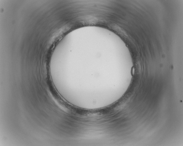 X0000070830638200607142342