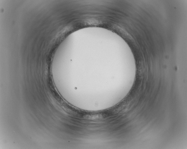 X0000070830639200607142342