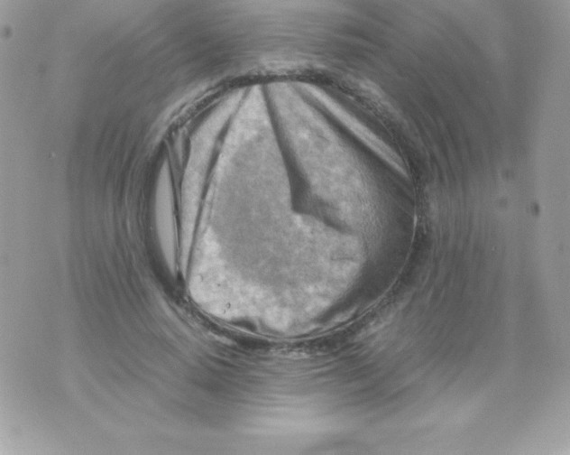 X0000070830640200607142342