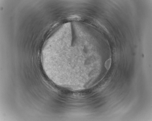 X0000070830641200607142342