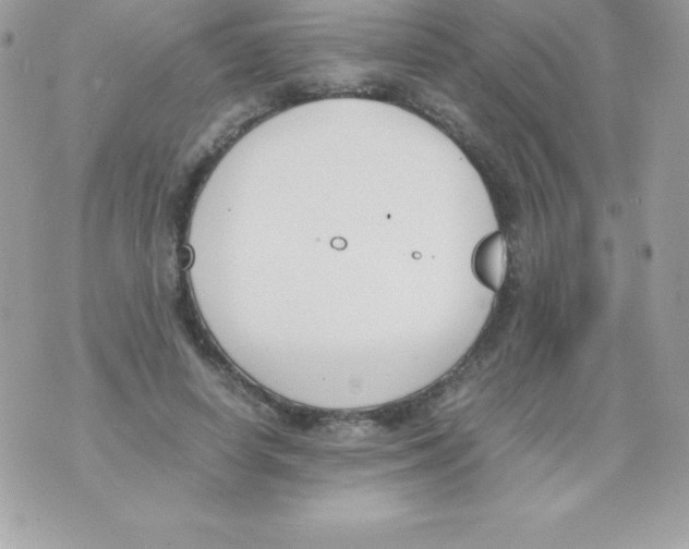 X0000070830642200607142342