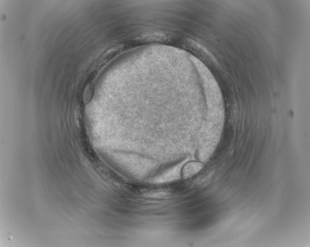 X0000070830643200607142342