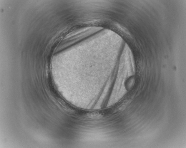 X0000070830644200607142342