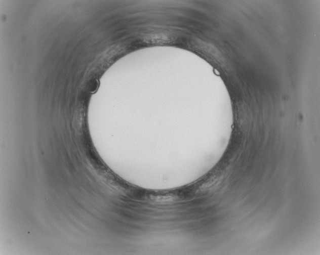 X0000070830645200607142342