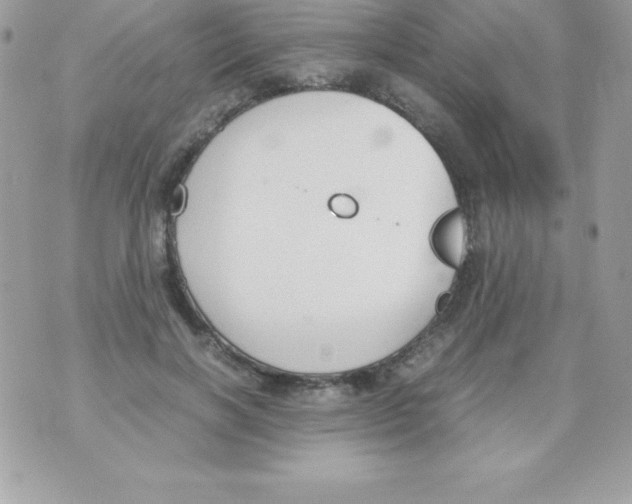 X0000070830646200607142342