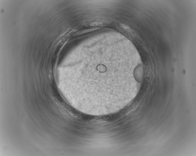 X0000070830648200607142342