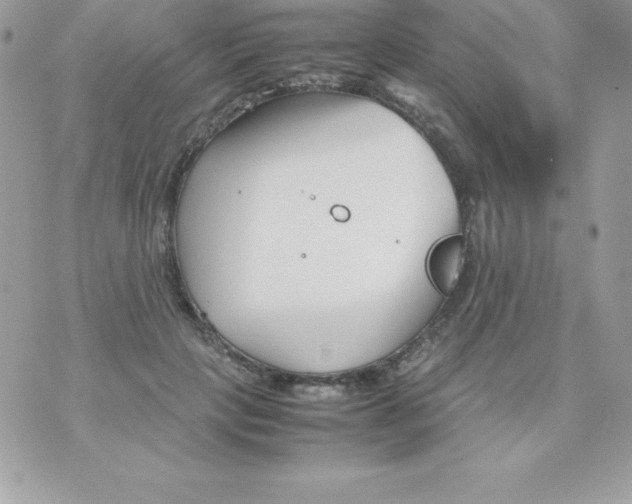 X0000070830649200607142342