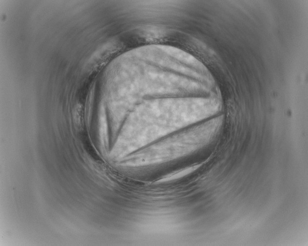 X0000070830650200607142342