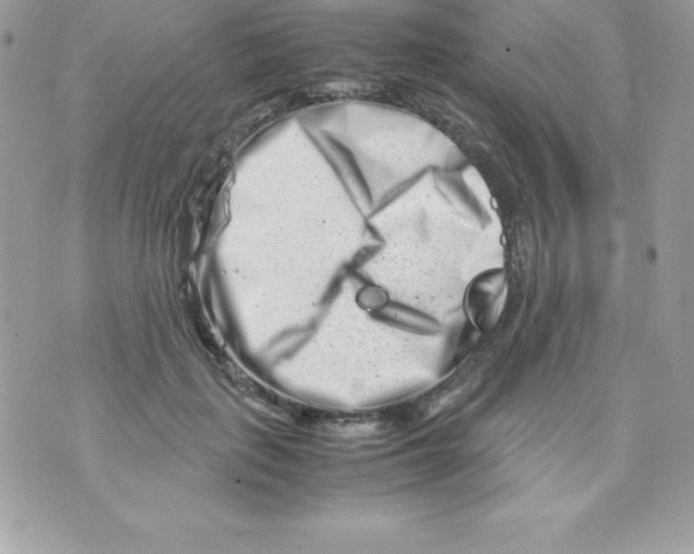 X0000070830651200607142342