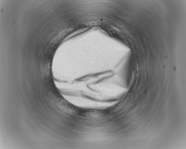 X0000070830652200607142342