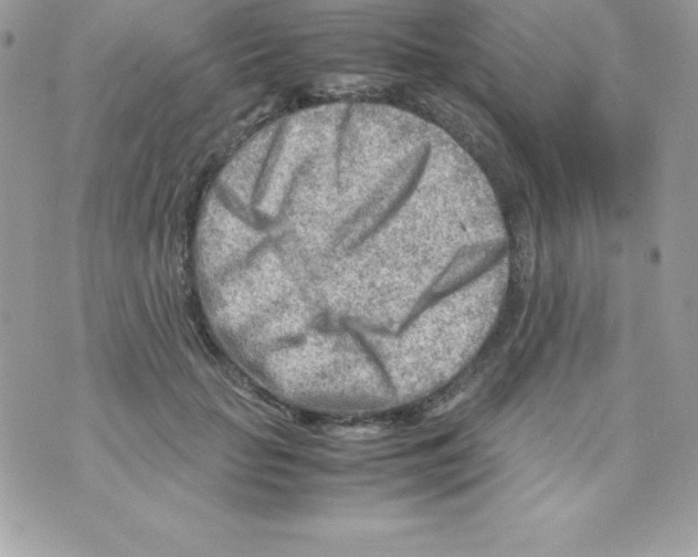 X0000070830653200607142342