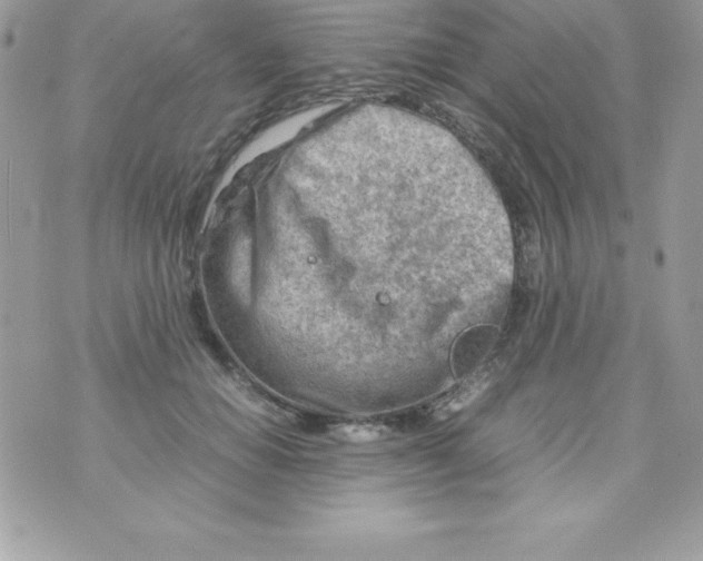 X0000070830654200607142342