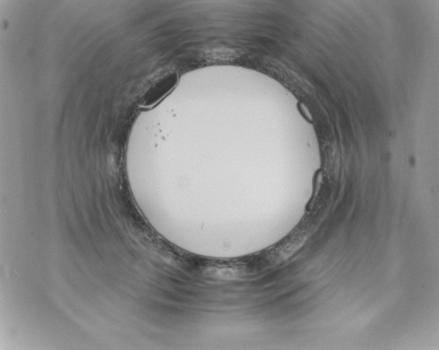 X0000070830655200607142342