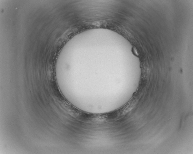 X0000070830656200607142342