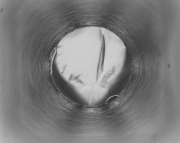 X0000070830657200607142342