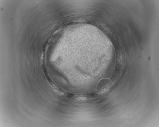 X0000070830658200607142342