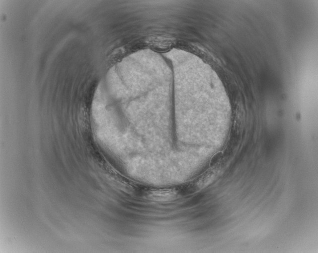 X0000070830659200607142342