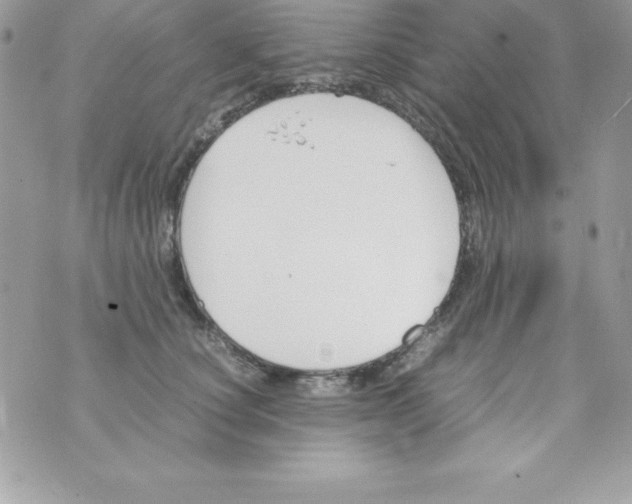 X0000070830660200607142342