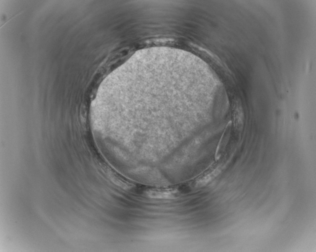 X0000070830661200607142342