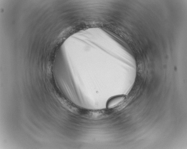 X0000070830662200607142342