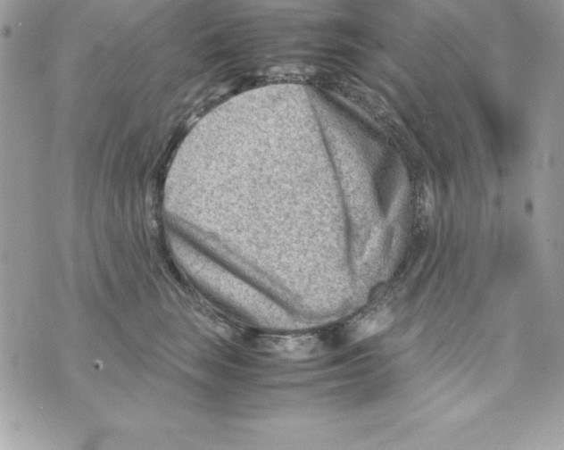 X0000070830663200607142342